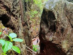 -玉石林风景区