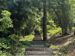 -潜山国家森林公园