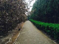 -秦始皇帝陵博物院-丽山园