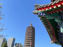 -西海子公园
