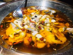 -雲蜀龙阁·金牌水煮鱼(方庄店)