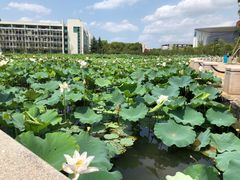 -南京医科大学(江宁校区)