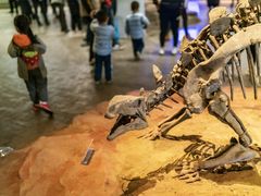 -自贡恐龙博物馆