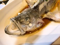 -十八棵（老龙井）御茶园(老龙井店)