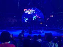 -俄罗斯国家大马戏团