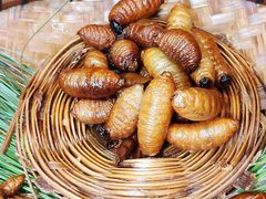 -昆虫窝子·特色云南菜(拓东路总店)
