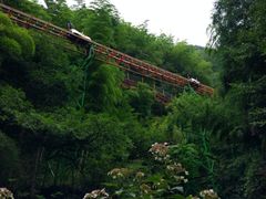 -藏龙百瀑风景区