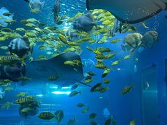 -太平洋海底世界