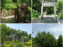 -老山国家森林公园