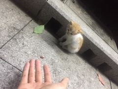 景观位-上海中医药大学-食堂