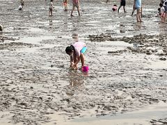 -南汇嘴观海公园