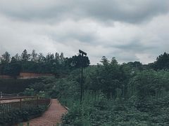 -石井坡(地铁站)