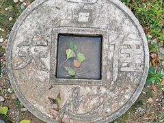 -雨花胜境