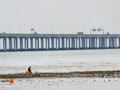 -宝安西湾红树林湿地公园