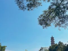 -广州莲花山旅游区