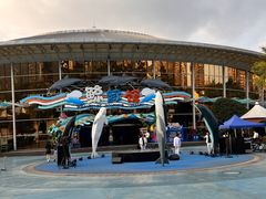 -海合安成都极地海洋公园