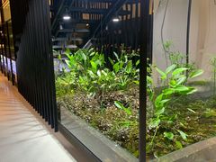 -CHIC1699远洋私厨