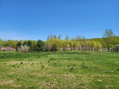 -哈尔滨北方森林动物园