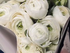-双季花艺园艺市场(浦东店)