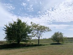 -盘龙城国家考古遗址公园