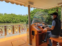 -大湾区中央湿地公园
