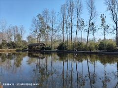 -溱湖国家湿地公园