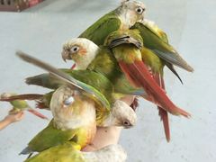 -广东茂名森林公园