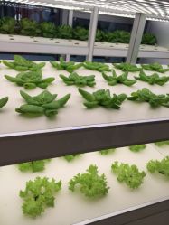 iphone_upload_pic-安利上海体验馆