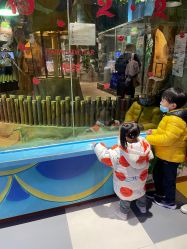 -宝燕乐园(闵行旗舰店)