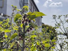 -沙掌门肉蟹煲(沙溪店)