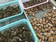 -大湾区中央湿地公园-十九涌