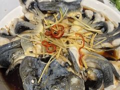 -煲来饱去冷水鱼