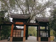 -溱湖国家湿地公园