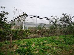 -乌村