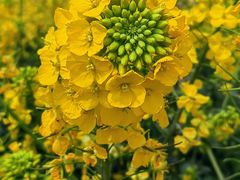 -中国天府农业博览园