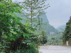 -通灵大峡谷