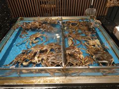 水产区-蟹将军·松叶蟹和牛日料放题自助(K11店)