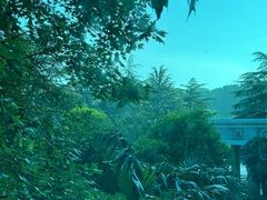 -河南省黄河迎宾馆