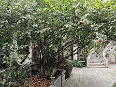 -十八棵（老龙井）御茶园(老龙井店)