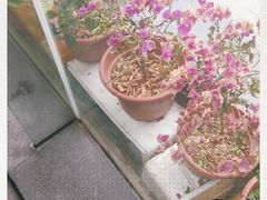 -味千拉面(杭州滨江星光大道店)