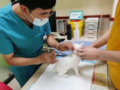 -艾贝尔宠物诊疗