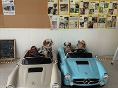 -omitofee咖啡(水泽店)