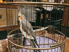 -那家小馆•北京菜•烤鸭(香山店)