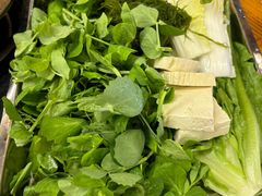 -金鼎雪山牦牛杂火锅(理县总店)