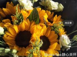 -悦色嘉丽科技美肤健康管理