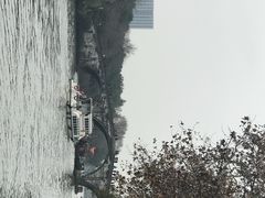 -运河游船(武林门码头)