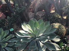 -华南国家植物园-售票处