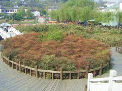 -三圣花乡旅游区