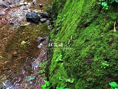 -双龙峡