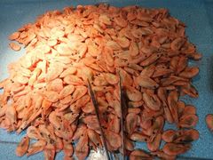 -圣罗巴海鲜烤肉自助(佳兆业店)